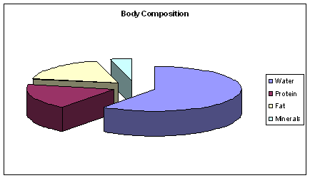 Graph showing body composition - minerals, protein, fat and water percentages.