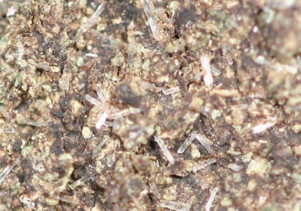 Picture of the dried shale from which the fulvic minerals are extracted.